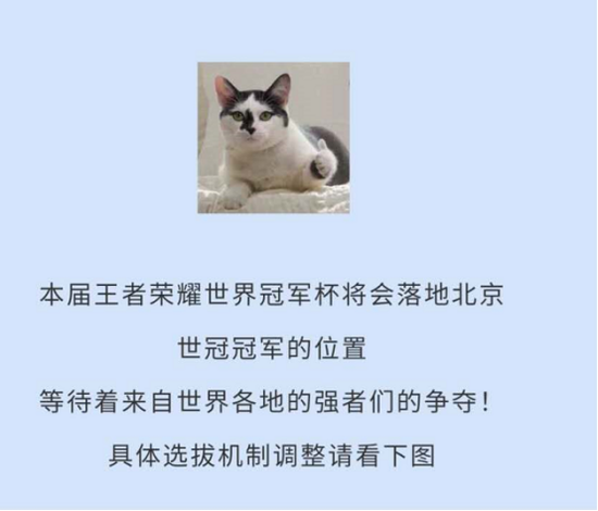 探索新祥瑞带来的童话体验